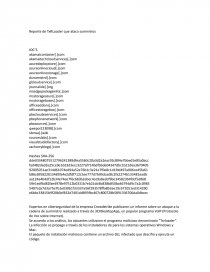 Reporte de TxRLoader que ataco suminitros. Página 1
