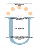 Balance másico y energético en problemáticas ambientales