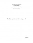 Objetivos organizacionales y reingeniería