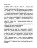 La violencia física o corporal según la OMS