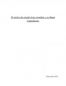 El techo de cristal tiene nombre y se llama Capitalismo