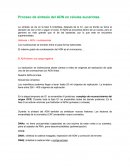 Proceso de síntesis del ADN en células eucariotas