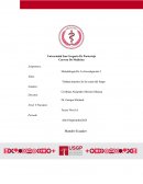 Trabajo práctico de las casas del fuego