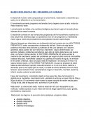 Bases biológicas del desarrollo humano