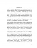Proyecto Conformar Brigadas para Protección a Mujeres