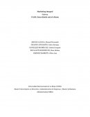 Caso 3 marketing integral, VANS: Estar dónde está el cliente