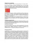 Bacteriologia streptococcus pyogenes