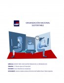 Sustentabilidad en la organización Idea-Tec