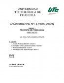 Proyecto de producción