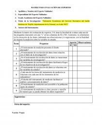 Matriz para evaluación de expertos. Página 1