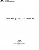 Virus del papiloma humano