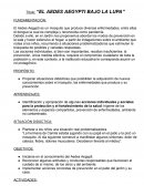 El Aedes Aegypti bajo la lupa
