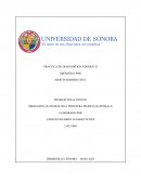 Práctica de diagnóstico jurídico II