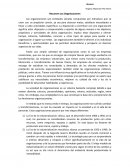 Resumen Las Organizaciones