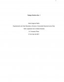 Legislación de lo Artístico Musical