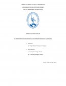 La nomofobia en adolescentes: un problema social en el siglo XXI