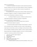 Objetivos de la Seguridad Social