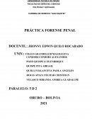 Práctica forense penal