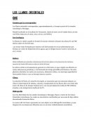 Los llanos orientales GHC