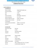 Programa de consultoría externa Anamnesis psicológica