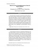 Reporte de Caso: Hemangiosarcoma en bazo de Boyero de Berna