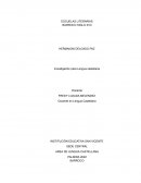 Investigación para Lengua castellana