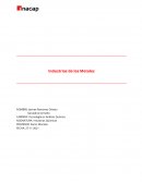 Industrias de los Metales