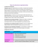 Tipos de estructuras organizacionales