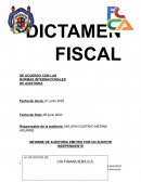 Ejemplo dictamen fiscal