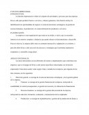 Función empresarial