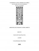 Administración de riesgos y medio ambiente