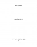 Incidencias de los procesos en las empresas