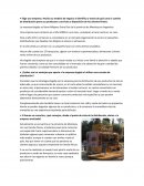 Distribución comercial y marketing