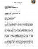 Análisis institucional situado. Proyecto Pràctica Docente II