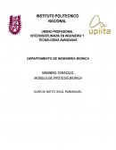 Modelo de prótesis biónica