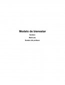Actividad Modelo de bienestar