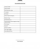 Informe diagnóstico