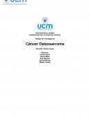 Actividad física variable fundamental para el desarrollo humano