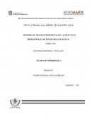 Memoria de trabajo Profesional