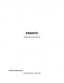 ENSAYO (Problemas socioeconómicos)