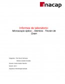 Microscopio óptico – Siembra - Tinción de Gram