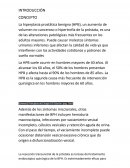 La hiperplasia prostática benigna (HPB)