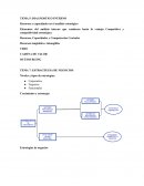 Diagnóstico interno