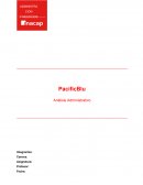 Análisis administrativo PacificBlu