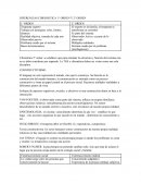 Diferencias cibernetica 1° orden y 2° orden