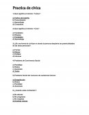 Práctica de cívica