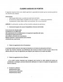 Cuadro análisis de Porter