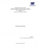 Saneamiento y Conservación Ambiental