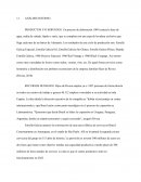 Análisis interno cervezas en España