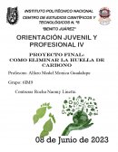 ¿Cómo la carrera de Negocios Internacionales influye en el desarrollo sostenible?